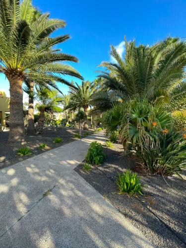 Apartamento Atlantic Garden 238