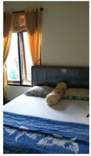 Kami Hostel