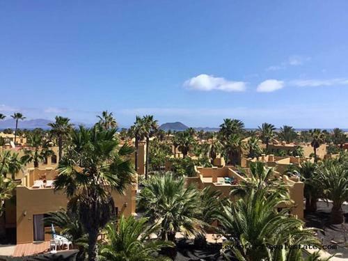 Apartamento Oasis Papagayo 27b