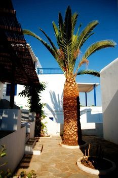 Apartamento Zephyros