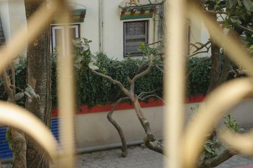 Hostal Laughing Buddha Hotel & Garden Theater
