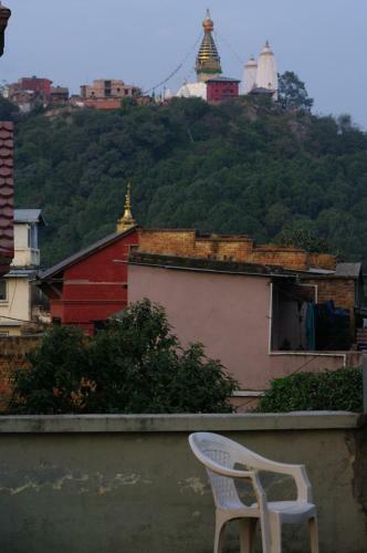 Hostal Laughing Buddha Hotel & Garden Theater