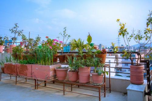 Apartamento Chandika Homestay