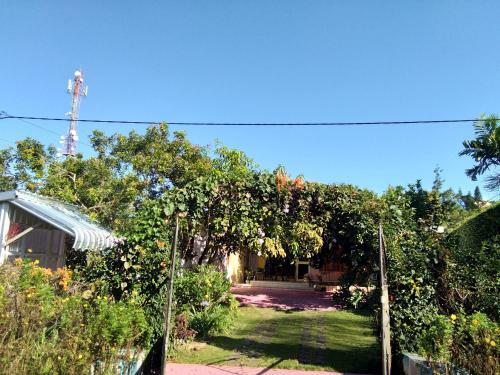 Voski Syariah Homestay&souvenir