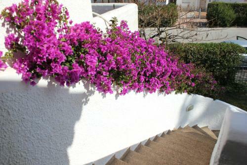 Apartamento Oasis Park