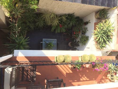 Apartamento Denia Townhouse