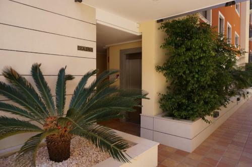 Apartamento Jardines de Las Marinas II Denia