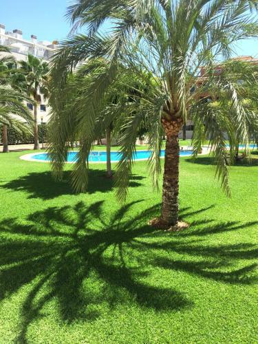 Apartamento Jardines de Las Marinas II Denia