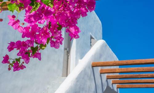 Best Western Hotel Del Mar