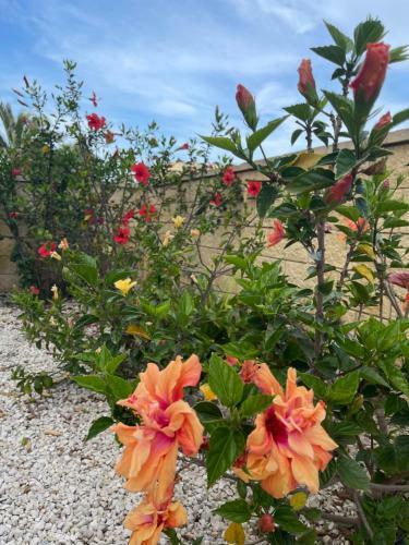 Apartamento Villa Huerto de Les Deveses