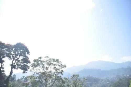 Hostal Mountain Top Guest