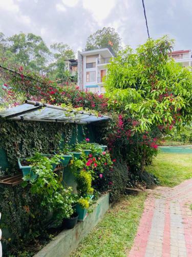 Hostal Hillcrest Holiday Homes