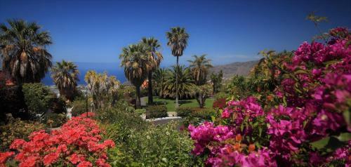 Apartamento La Palma Jard�n Resort