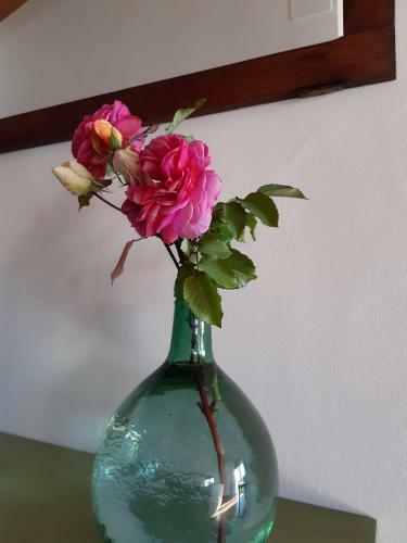 Casa Rural Quinta de Los Almiares