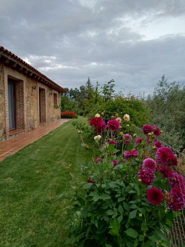 Casa Rural Quinta de Los Almiares