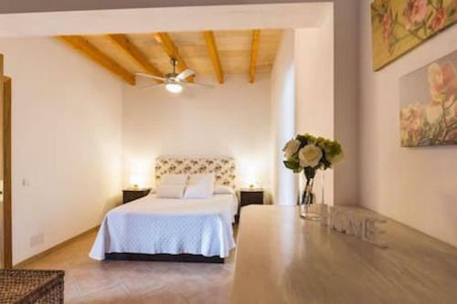 Finca Can Barretes