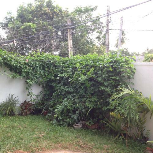 Apartamento Ronemka Boutique Villa
