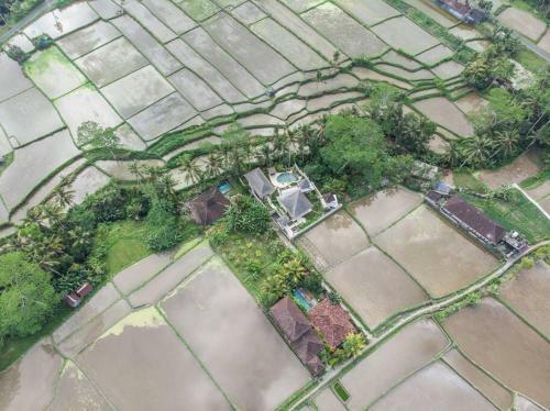 The Villa Rossi Ubud