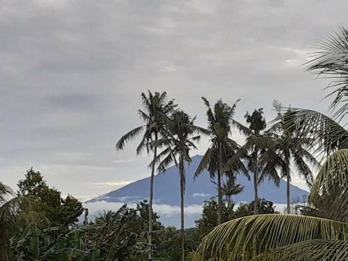 Villa Kayu81- Beautiful Pool Vila Ubud Mountain View 2br