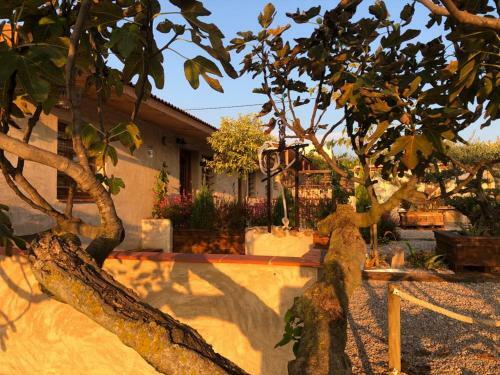 Las Terrazas, La Casita Del Campesino