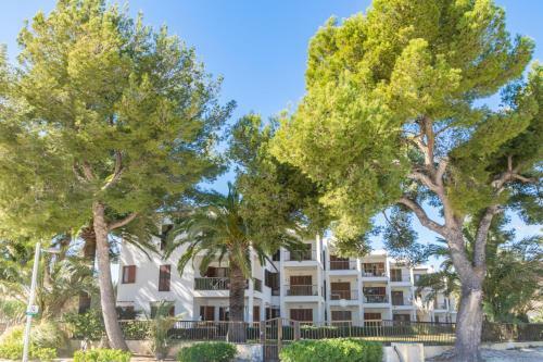 Apartamento Andreu Playasol