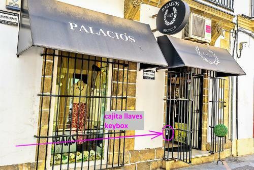 Palacios Deluxe Apartment With Elevator