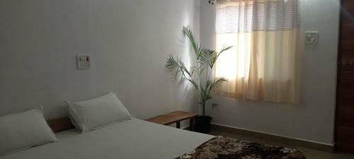 Hostal Deshu's Little Italy