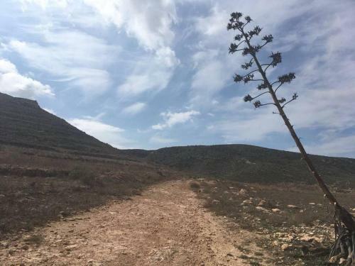 Cortijo Los Garridos - Fern�n P�rez
