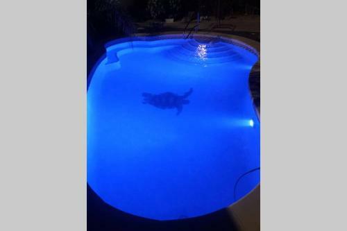 Dream Villa 22pax 5min Benidorm. Climated Pool