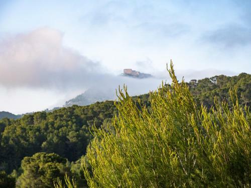 Hotel Finca Sa Fuente