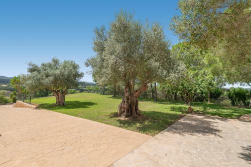 Beautiful Villa Puig Des Call For 18 Guests With Pool