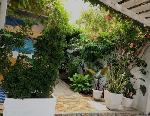 Hostal Orchidia House Santa Fe Bantayan Island