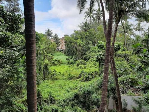 Villa Soares Stay Home - In The Lap Of Greenery