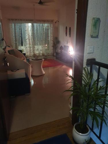 Stunning Cosy Apartment For 2 In Arpora Goa