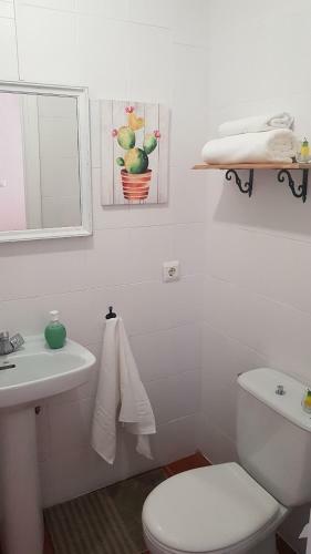 Apartamento C�ntrico Frente A La Playa.