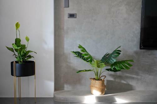Villa Zhicun Xiaoshi Homestay