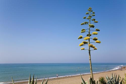 Heaven Beach Apartment 405