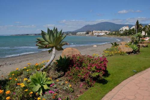 Apartamento Casa Cachita 2-confortable Estudio A Pie de Playa