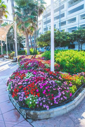 Apartamento Espectacular Piso En Primera L�nea de Playa