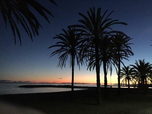 Marbella West Luxoury Apartment