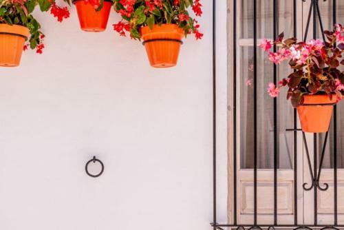 Apartamento Casa Del Patio