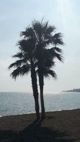 Apartamento El Paraiso Golf Y Playa