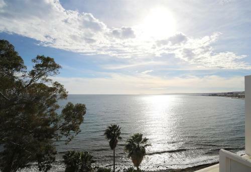 Penthouse Boulevard Estepona 405