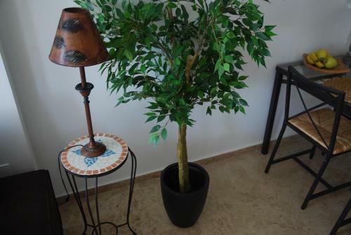 Apartamento Reina Sofia 45