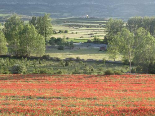 Agroturismo Casa Rural La Sabina