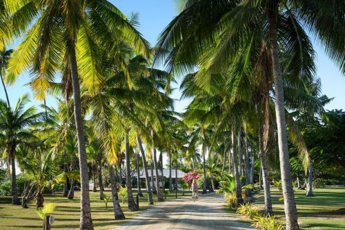 Hotel Musket Cove Island Resort
