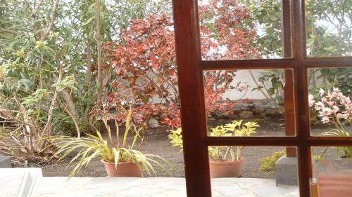 Agroturismo Casa Los Vi�edos B