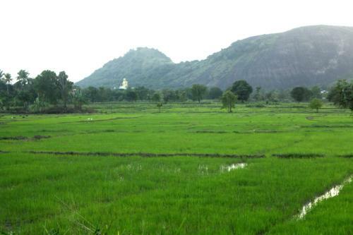 The Village Tourist Resort