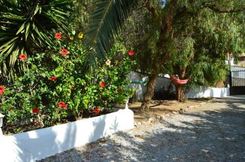 Agroturismo Casandalus�