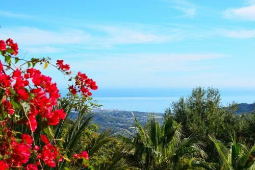 Apartamento Casa Amarilla, Frigiliana